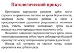 Варианты прикусов у человека - изображение № 2