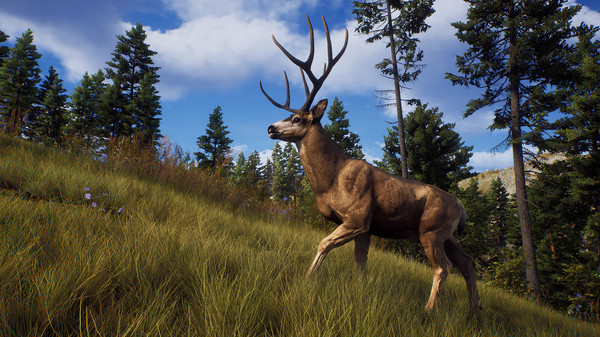 Скриншот Way of the Hunter Elite Edition + DLC | Region Free