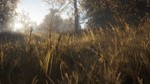 theHunter: Call of the Wild + 30 DLC | Steam | GLOBAL - изображение № 9