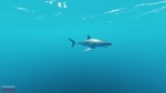 Stranded Deep  | Epic Games | GLOBAL АВТОВЫДАЧА24/7 - изображение № 2