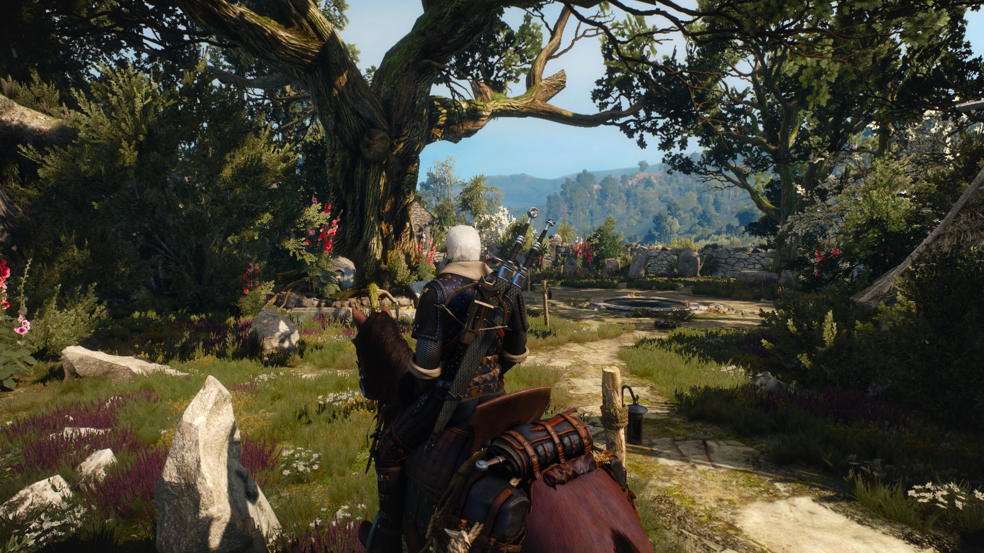 The witcher 3 last patch фото 60
