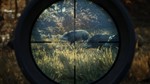 theHunter: Call of the WildSTEAM Аккаунтна 90 дней - изображение № 4