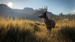 theHunter: Call of the WildSTEAM Аккаунтна 90 дней - изображение № 6