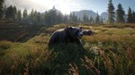 theHunter: Call of the WildSTEAM Аккаунтна 90 дней - изображение № 2