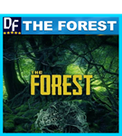 ・THE FOREST ・STEAM ・АККАУНТ・ГАРАНТИЯ + ПОДАРОК + ИГРЫ - изображение № 3