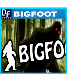 BIGFOOT (STEAM) Аккаунт Region Free