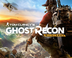 Tom Clancy's Ghost Recon Wildlands ️STEAM Аккаунт