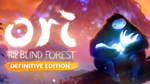 Ori and the Blind Forest: DefinitiveSTEAMна 90 дней