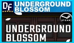 Underground Blossom ️STEAM Аккаунтна 90 дней