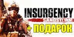 INSURGENCY: SANDSTORM(STEAM) АККАУНТИГРЫна 90 дней