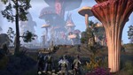 THE ELDER SCROLLS ONLINE + MORROWIND (STEAM/РФ+СНГ) - изображение № 6