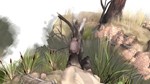 Paperbark ⭐Steam\РФ+Весь Мир\Key⭐ + Бонус - изображение № 4