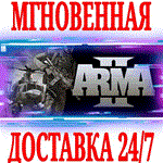 Arma 2: Второй фронт ⭐Steam\РФ+Весь Мир\Key⭐ + Бонус