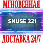 SNUSE 221 ⭐Steam\РФ+Весь Мир\Key⭐ + Бонус