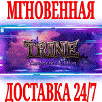 Trine Enchanted Edition ⭐Steam\РФ+Весь Мир\Key⭐ +Бонус