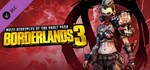 Borderlands 3 Season Pass Bundle (1 + 2) STEAMКЛЮЧ - изображение № 12
