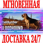 theHunter: Call of the Wild Bloodhound ⭐Steam\Key⭐ +