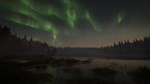 theHunter: Call of the Wild Revontuli Coast⭐Steam\Key⭐ - изображение № 3