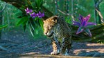 Planet Zoo: South America PackSTEAMКЛЮЧРФ+МИР + - изображение № 3