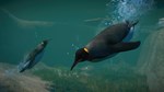 Planet Zoo: Aquatic Pack STEAMКЛЮЧРФ+ВЕСЬ МИР + - изображение № 3
