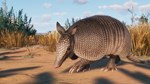 Planet Zoo Grasslands Animal Pack STEAMКЛЮЧРФ+МИР - изображение № 2