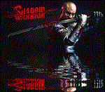 Shadow Warrior (2013) ⭐Steam\РФ+Весь Мир\Key⭐ + Бонус