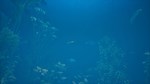 Bassmaster Fishing 2022: Lake Hartwell ⭐Steam\Key⭐ + - изображение № 3