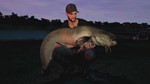 Euro Fishing: The Moat DLC ⭐Steam\Global\Key⭐ + Бонус - изображение № 2