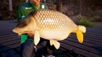 Fishing Sim World: Pro Tour ⭐Steam\Global\Key⭐ + Бонус - изображение № 3
