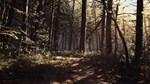 Blair Witch ⭐Steam\Весь Мир(Кроме РФ и РБ)\Key⭐ +  - изображение № 4