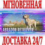 theHunter Call of the Wild Labrador Retriever⭐Стим\Key