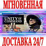 Unity of Command II ⭐Steam\РФ+Весь Мир\Key⭐ + Бонус