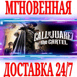 Call of Juarez: The Cartel ⭐Steam\РФ+Весь Мир\Key⭐ +