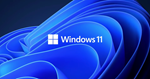 Windows 11 Professional 