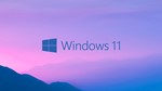 Windows 11 Professional 