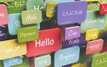 Технологии изучения иностранных языков (Ягодкин)