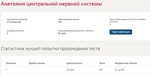 Анатомия центральной нервной системы (Синергия ответы)