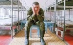 Психологический анализ неуставных отношений (ПАНО)