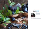 aveCRM система для ведения базы клиентов