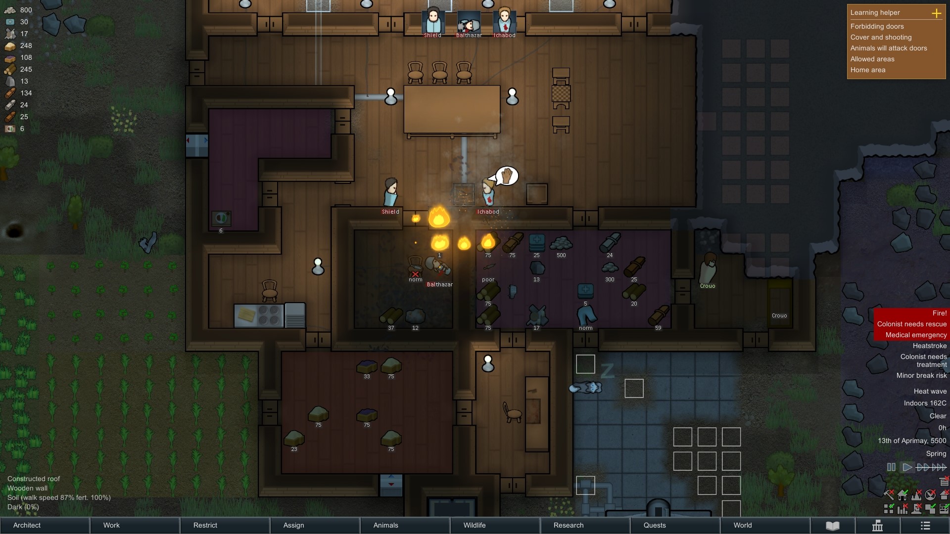 Common sense rimworld