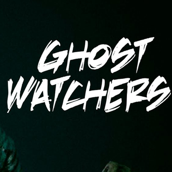 Ghost Watchers + ОБНОВЛЕНИЯ/ПОЛНАЯ ИГРА / STEAM АККАУНТ