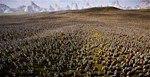 Ultimate Epic Battle Simulator 2/STEAM АККАУНТ/ГАРАНТИЯ - изображение № 3