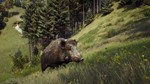 Way of the Hunter + ОБНОВЛЕНИЯ И DLS / STEAM АККАУНТ - изображение № 3