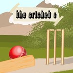 The Cricket C PS5 | PlayStation 5 | Турция | 0% 