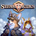 Steam Tactics PS4 | PlayStation 4 | Турция | 0% 