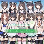 Costume Set - Hospitable Kitties - BLUE REFLECTION: Sec
