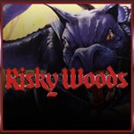 Risky Woods (QUByte Classics) PS4 | Турция | 0% 