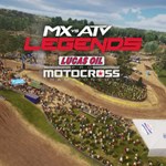 2022 AMA Pro Motocross Championship - MX vs ATV Legends