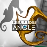 Perfect Angle PS4 | PlayStation 4 | Турция | 0% 
