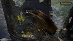 ⭐️Pathfinder: Kingmaker Enhanced Edition / Steam - изображение № 4